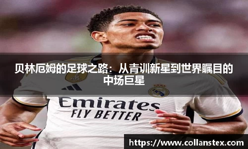 OD体育官方网站